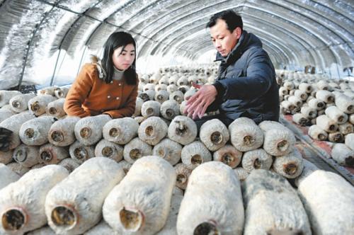 合肥新站区硕士村官年薪至少8万元(图)