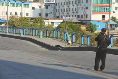 �Ĵ���֦����ɳ�����ŵ��˶����������ݣ�ͼ��