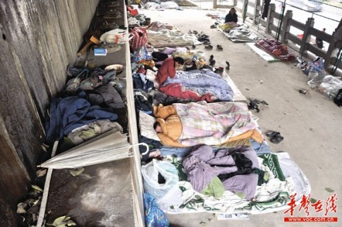 长沙每天2000人流浪街头雪讯传出急寻庇寒所(图)