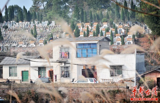 湖南湘潭毁林建墓吞300亩人大代表举报审批造假