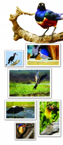 С�������Խ���ް�����8�������ϡ���գ�ͼ��