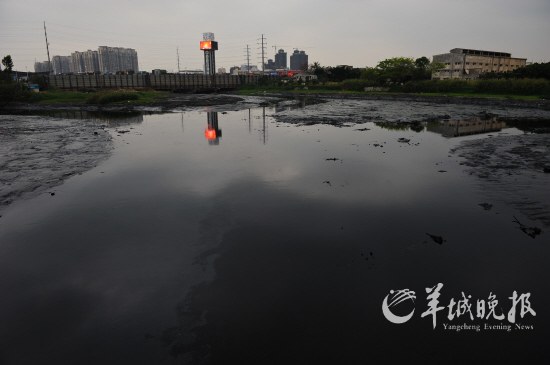 深圳网友10万请环保局长下河游泳(图)