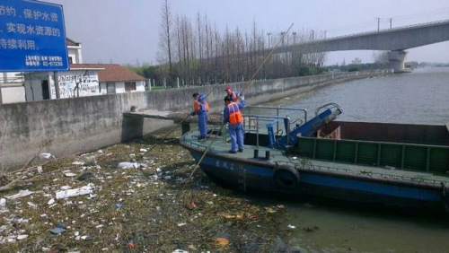 黄浦江水源保护区现大量死猪或污染取水口(图)