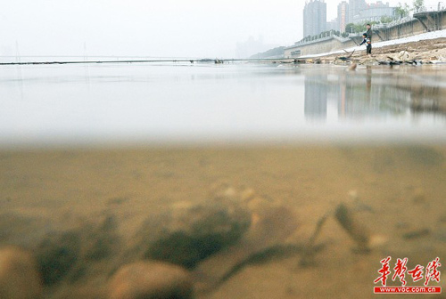 湖南回应拒喝自来水和死猪事件检测仍是难题