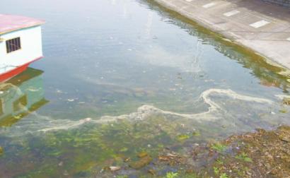 市民投诉风景区湖水变黑最大污染源当地农家乐