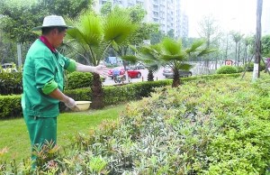 绿化工喷农药飘进车内司机下车每人打一耳光
