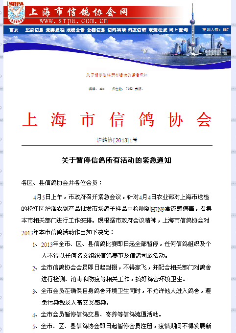 上海紧急取消2013年所有信鸽比赛