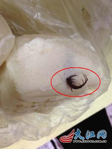 网曝南昌大学食堂馒头内现大蜈蚣校方调查(图)
