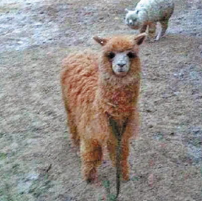 Ů�ӻ�10�򹺳��ȡ����������Ӱ��޿��ˣ�ͼ��