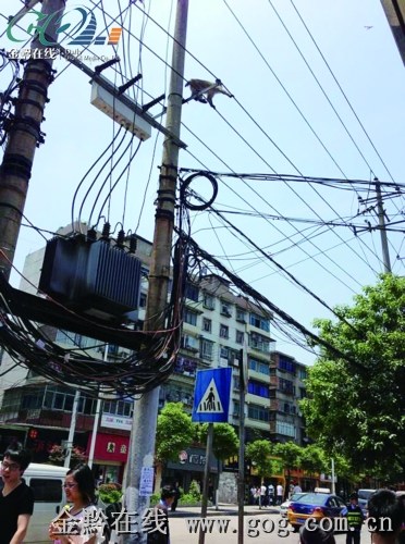 �����������ֺ��ӱ�Χ�������߸ˡ��߸�˿����ͼ��