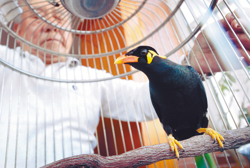 �ϴ�ү�̻�С��˵��һ���ͨʫ�ʻᳪ�裨ͼ��