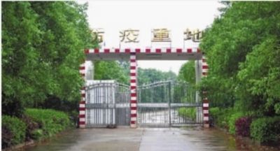 湖南养猪场被曝用消毒液溶解死猪尸水直排湘江