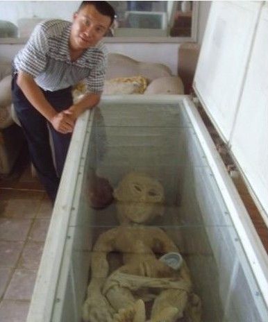 ɽ������:���ӡ����������ˡ�ϵα�����Ϊ��