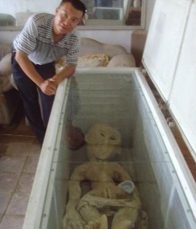 ���ݾ��������������������ˡ�Ϊ����䶯ЧӦ