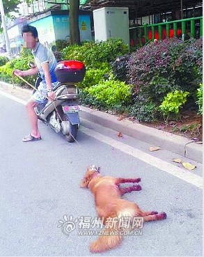 泉州男子飞车拖母狗致死市民愤然谴责围堵(图)