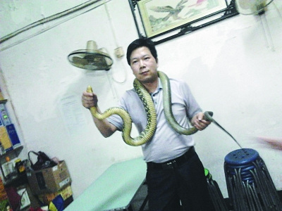 都市捕蛇人帮110义务捉蛇15年捉蛇不下600条