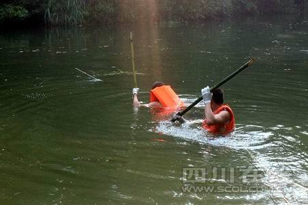 四川乐山两大学男生疑游泳溺水命丧湖中