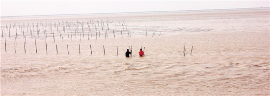 三男子滩涂作业因涨潮被困海中1人溺亡