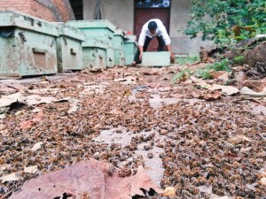 ����������������ׯ480���۷�Ī��������ͼ��