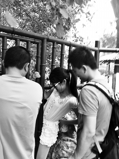 ��������԰һŮ�ο�Ϊ����è��Ӱ��դ����ͼ��