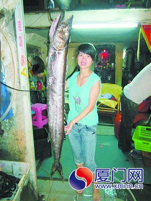 ���񲶵�����㡰�����㡱������޹أ�ͼ��