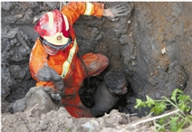 �㽭����һ���˱����ࡰ���ɡ�����ͽ����������