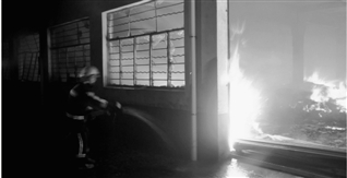 �㽭�ຼһ�����㳧���ϼ��賿�������֣�ͼ��