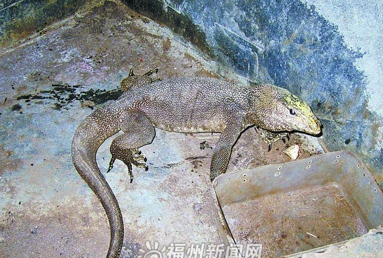 ����������ϼ�������һ��Ҫ��һ���⣨ͼ��