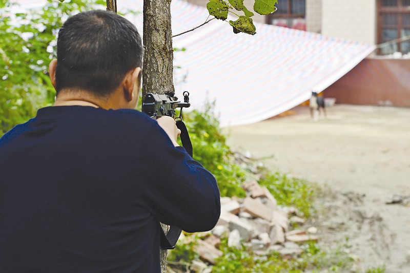 �蹷��ҧ12��10��ֻ�������ڶ�Ա��ǹ���У�ͼ��