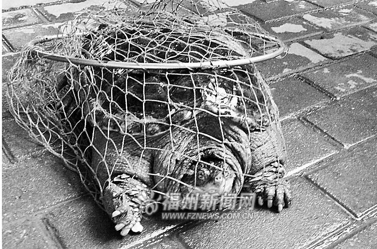 �����̳�10������ڹ�ר�����ѣ������ںӷ���