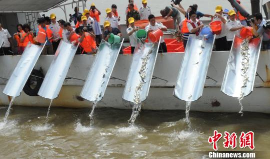 372��β����Ͷ��̨�庣Ͽ����