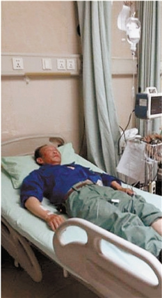 杭州一园林工作业时被十来只马蜂蛰昏(图)