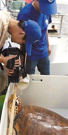 ����ˮ��Ұ������Ȼ����ķ�����ֻ�󺣹꣨ͼ��