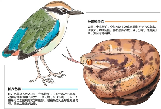 杭州给动植物“查户口”发现数十种珍惜品种