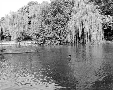 男子泡在湖水里一动不动或因和女友闹别扭(图)