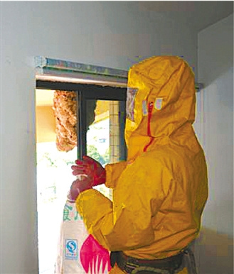 �㽭���������æ40��ժ184�������ѣ�ͼ��