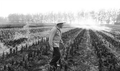 ũ����սոѼ��س����������������һֽ����