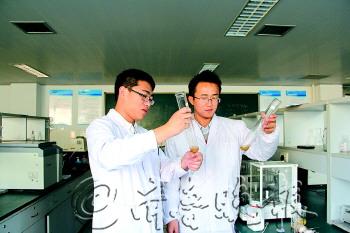 专家:不同价格鸡蛋蛋白质含量相近建议每天吃1个