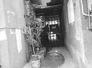 居民楼栋通道安装铁门内部空间成自家菜地(图)