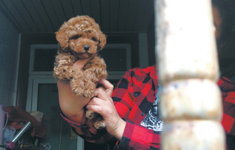 Ů������20��ֻ�ھ�ɫ�������Ǯ��ֻ��ϲ��