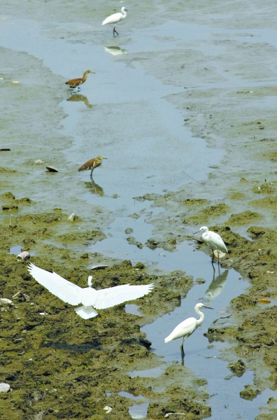 �人���꽫Ͷǧ��Ԫ��������ʪ����̬