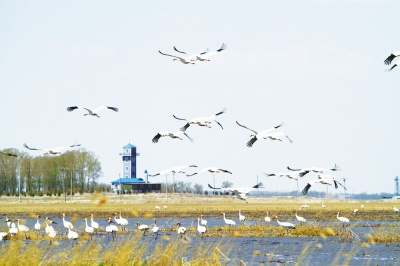 �����׺���Ϣ����ĪĪ����Ȼ��������ͼ��