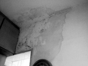 楼上出租成宿舍总漏水楼下大片墙壁被水渍染黄