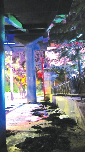 寒衣时节文明祭祀被市民无视临街祭祀灰飞扬