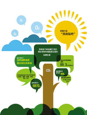 碳汇交易,绿色经济的新篇章