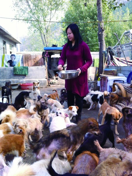 Ů���ⷿ��230�����˹����ɷ��ӹ���ϧ�������