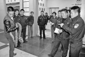 2米蟒蛇爬进7楼阳台女子与其对视惊叫逃离(图)