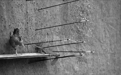 ����һ�������䡰�����г�������ָ����