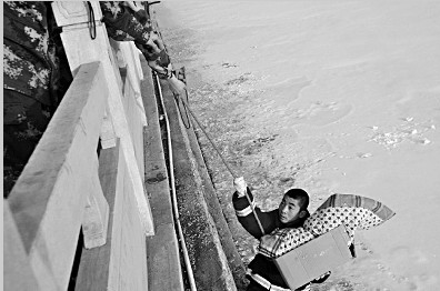 Ӥ���������������������ݡ�֩������Ӫ�ȣ�ͼ��