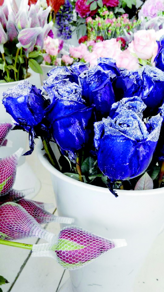 �г��ϡ���ɫ���������ɷ�õȾ�ɳɱ����߼۷���